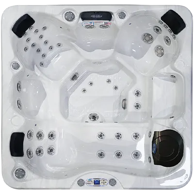 Avalon EC-849L hot tubs for sale in Belleville