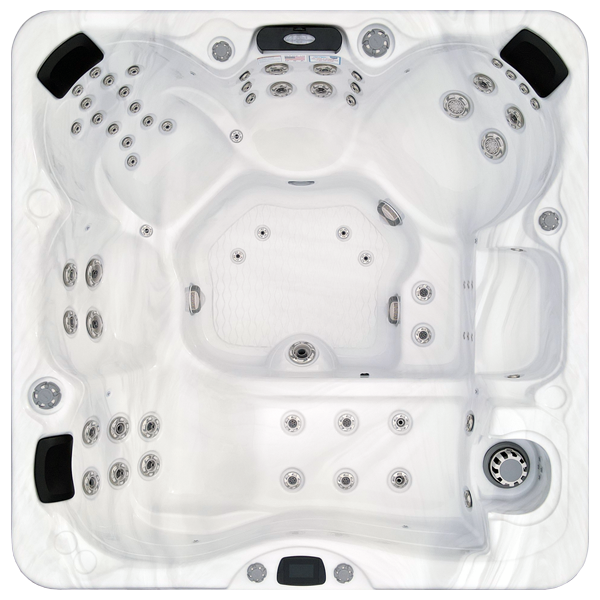 Avalon-X EC-867LX hot tubs for sale in Belleville